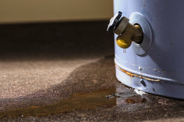 Best Carpet water damage restoration  in Poth, TX