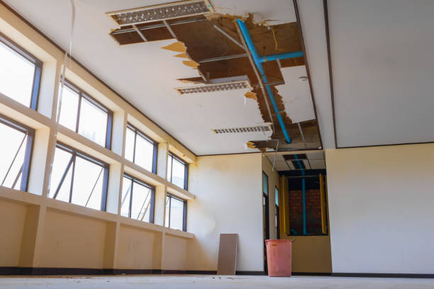  Poth, TX Water damage restoration Pros