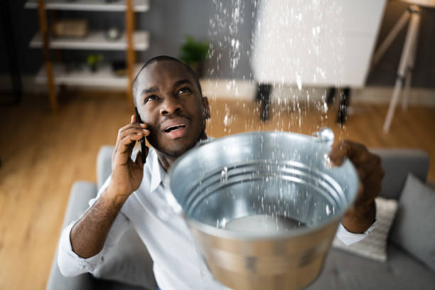 Best Water damage restoration near me  in Poth, TX