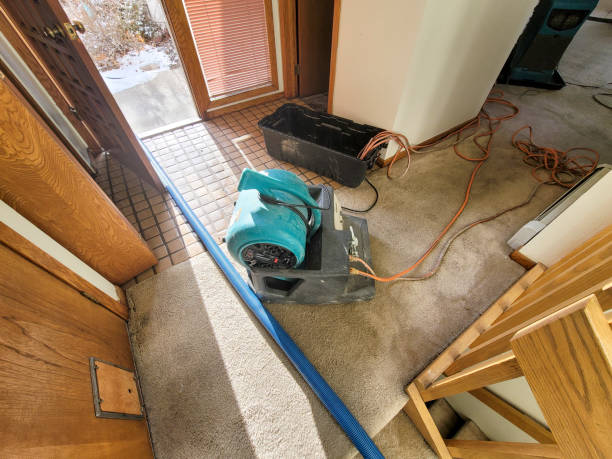 Best Water damage contractors near me  in Poth, TX